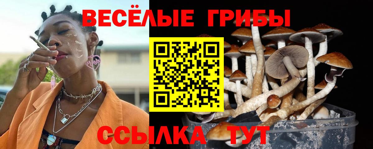Псилоцибиновые грибы ЛСД Йошкар-Ола