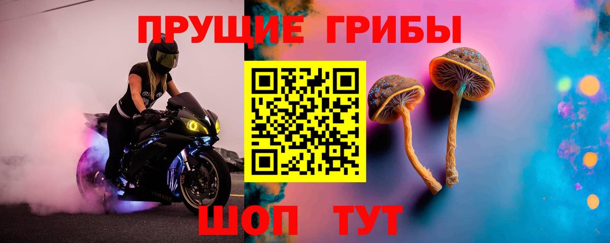 Йошкар-Ола  Галлюциногенные грибы прущие грибы  Галлюциногенные грибы MAGIC MUSHROOMS  Вход с VPN 